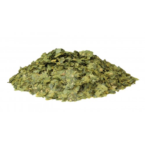 Tetra Phyll Bitkisel Pul Yem 100 Gr.